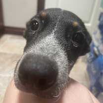 Thumbnail photo of Maggie #1