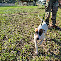 Thumbnail photo of Genevieve #2