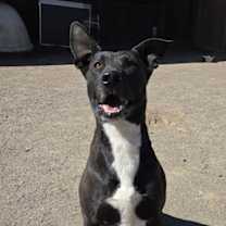 Thumbnail photo of Lydia #2