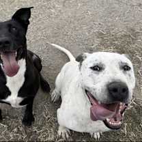 Thumbnail photo of Lydia #4