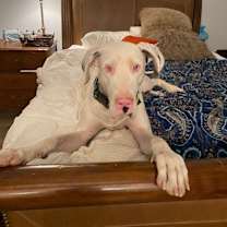 Thumbnail photo of Darla Jean #3