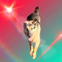 Thumbnail photo of RuRu #4