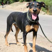 Thumbnail photo of Angie #2