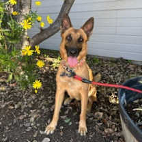 Thumbnail photo of Fiona #1