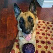 Thumbnail photo of Fiona #2