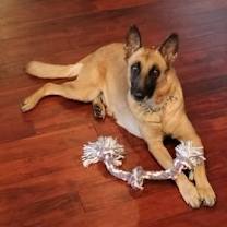 Thumbnail photo of Fiona #3