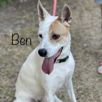 Thumbnail photo of Ben #1