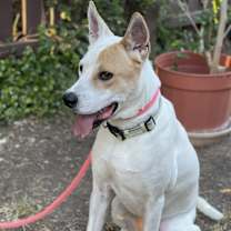 Thumbnail photo of Ben #4