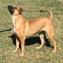 Thumbnail photo of DAISY #1