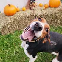 Thumbnail photo of Nicholas #4