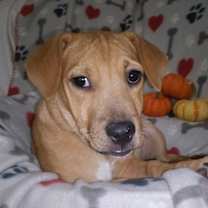 Thumbnail photo of Lilly #1