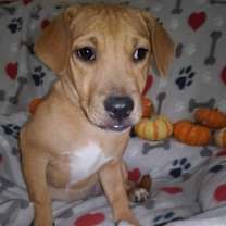 Thumbnail photo of Lilly #2