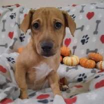 Thumbnail photo of Lilly #3