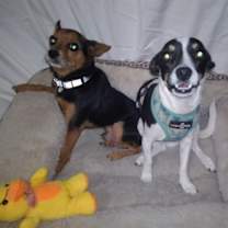 Thumbnail photo of Micah and Pedro #1