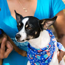 Thumbnail photo of Micah and Pedro #3