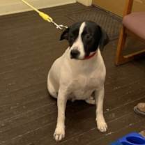 Thumbnail photo of Maggie G #1