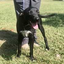 Thumbnail photo of Tate #1