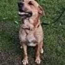 Thumbnail photo of BO #1