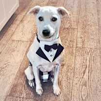 Thumbnail photo of Coco #3