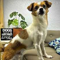 Thumbnail photo of Radcliffe #3