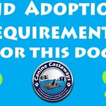 Thumbnail photo of Radcliffe #4