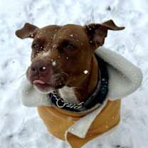 Thumbnail photo of Missy #1