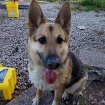 Thumbnail photo of Roxanne #2