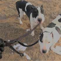 Thumbnail photo of Chyna #1