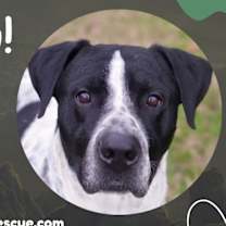 Thumbnail photo of Cruz #2