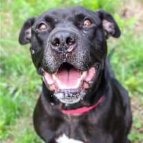 Thumbnail photo of Tiny #3