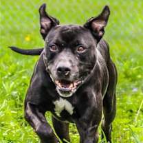 Thumbnail photo of Tiny #4