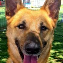 Thumbnail photo of MARLIN (Israel) kt #1