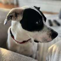 Thumbnail photo of LOKI #3