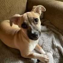 Thumbnail photo of Evie #2