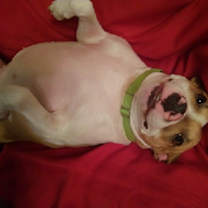 Thumbnail photo of Mabel #1