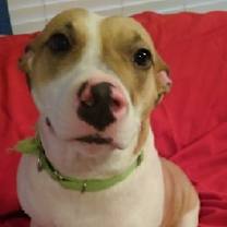 Thumbnail photo of Mabel #2