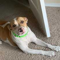 Thumbnail photo of Mabel #3