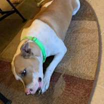 Thumbnail photo of Mabel #4