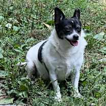 Thumbnail photo of Clementine #2