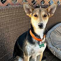 Thumbnail photo of Tai #3
