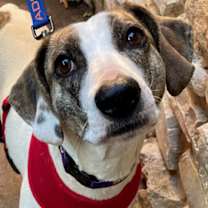 Thumbnail photo of Jenny #2