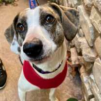 Thumbnail photo of Jenny #3