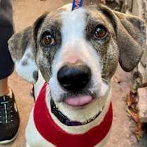 Thumbnail photo of Jenny #1