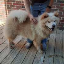 Thumbnail photo of MAX #2