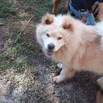 Thumbnail photo of MAX #3