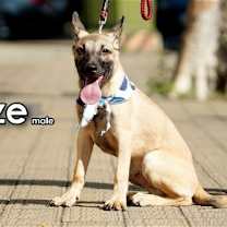 Thumbnail photo of Blaze from Taiwan #4