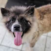 Thumbnail photo of Dagashi #2