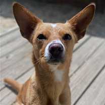 Thumbnail photo of Georgia #1