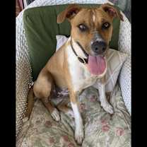 Thumbnail photo of Bella Bleu #2