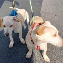 Thumbnail photo of Ben #1